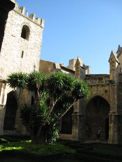 06 - Narbone 010.JPG